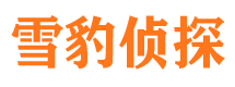 宁波外遇出轨调查取证